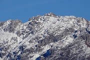80 Zoom in Alben